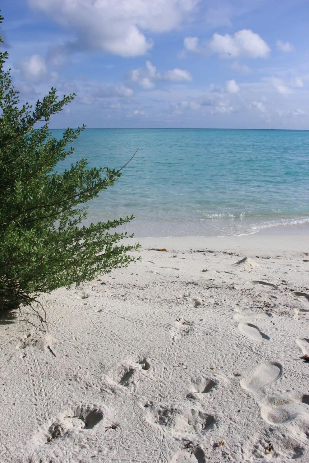 Isla Retreat Otel Fehendhoo Dış mekan fotoğraf
